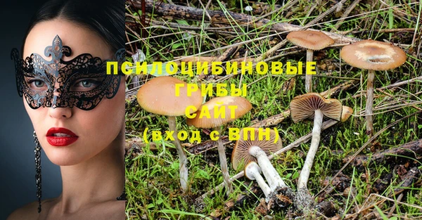ГАЛЛЮЦИНОГЕННЫЕ ГРИБЫ Бугульма