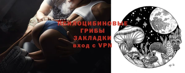 ECSTASY Бородино