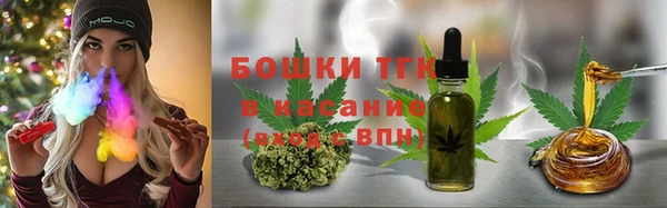 прущие грибы Богородск