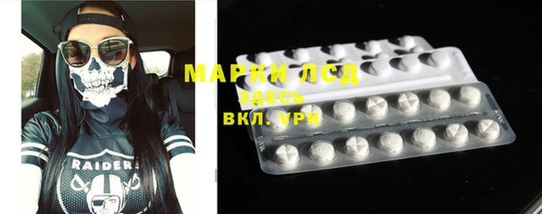 ECSTASY Бородино
