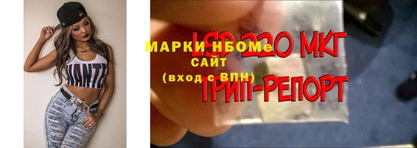ГАЛЛЮЦИНОГЕННЫЕ ГРИБЫ Бугульма