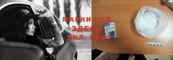 прущие грибы Богородск