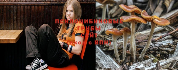 mdpv Богданович