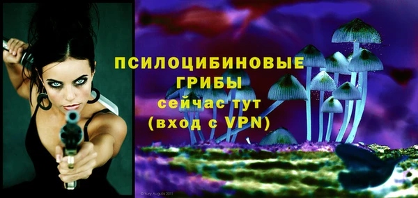 ECSTASY Бородино