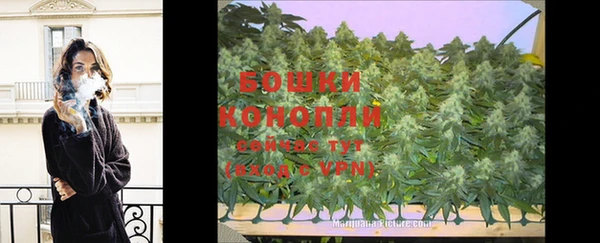 ECSTASY Бородино