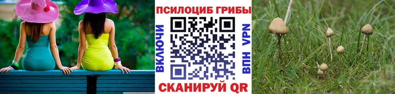 Псилоцибиновые грибы мухоморы  Купить где  Киржач 