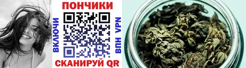 Купить  Киржач  Бошки марихуана OG Kush 